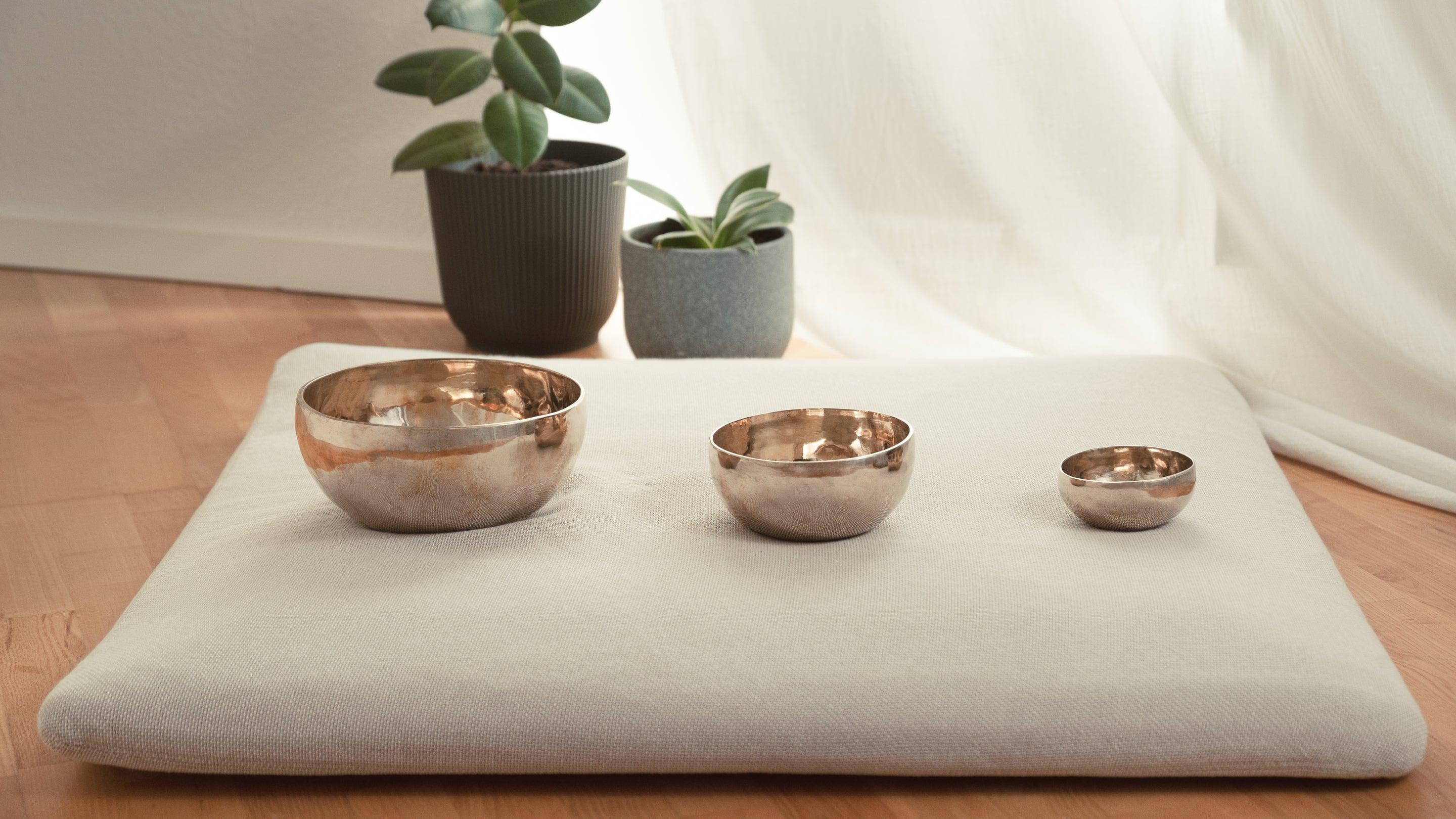 multiple reflective singing bowls placed in a single line formation