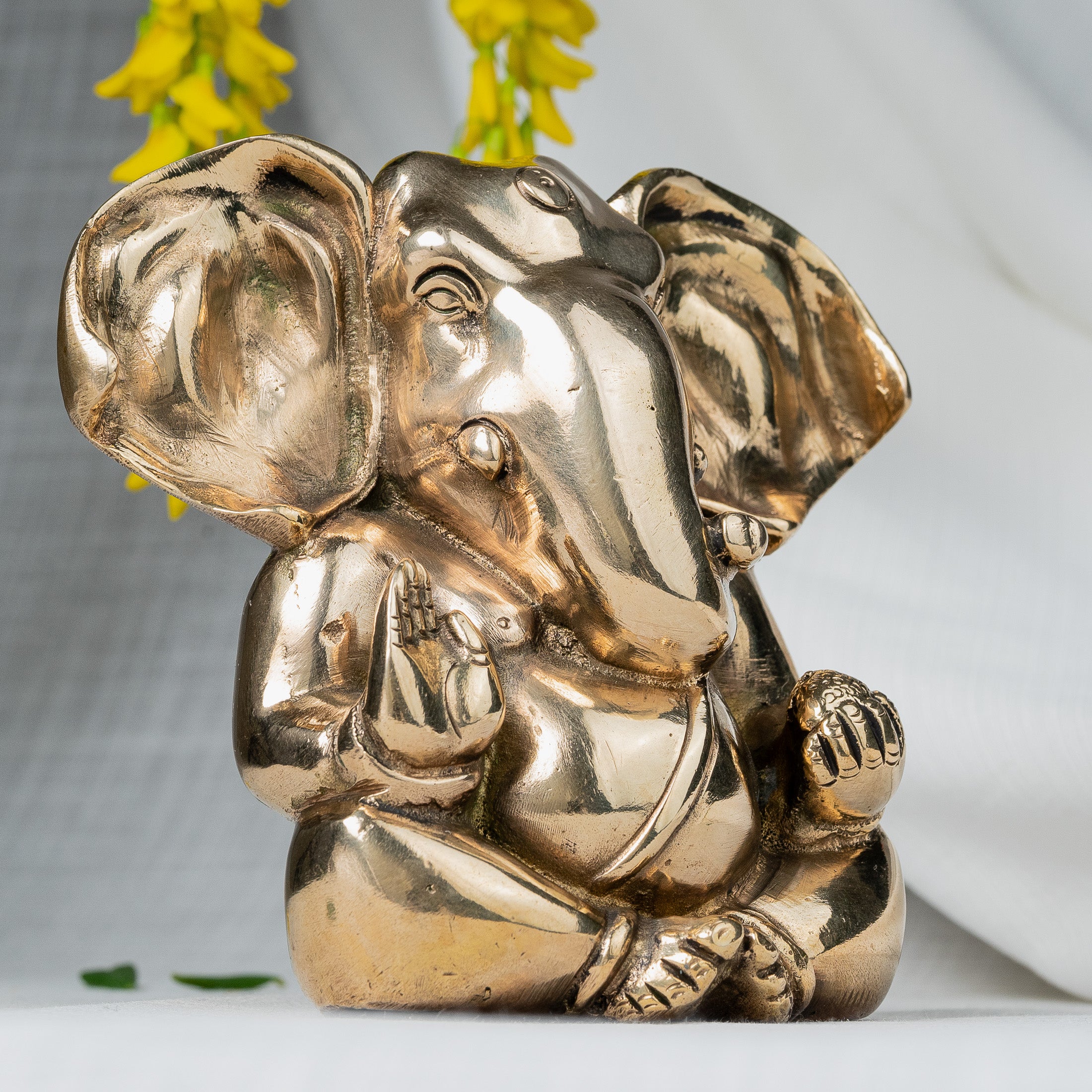 Close view of Ganesh Statue