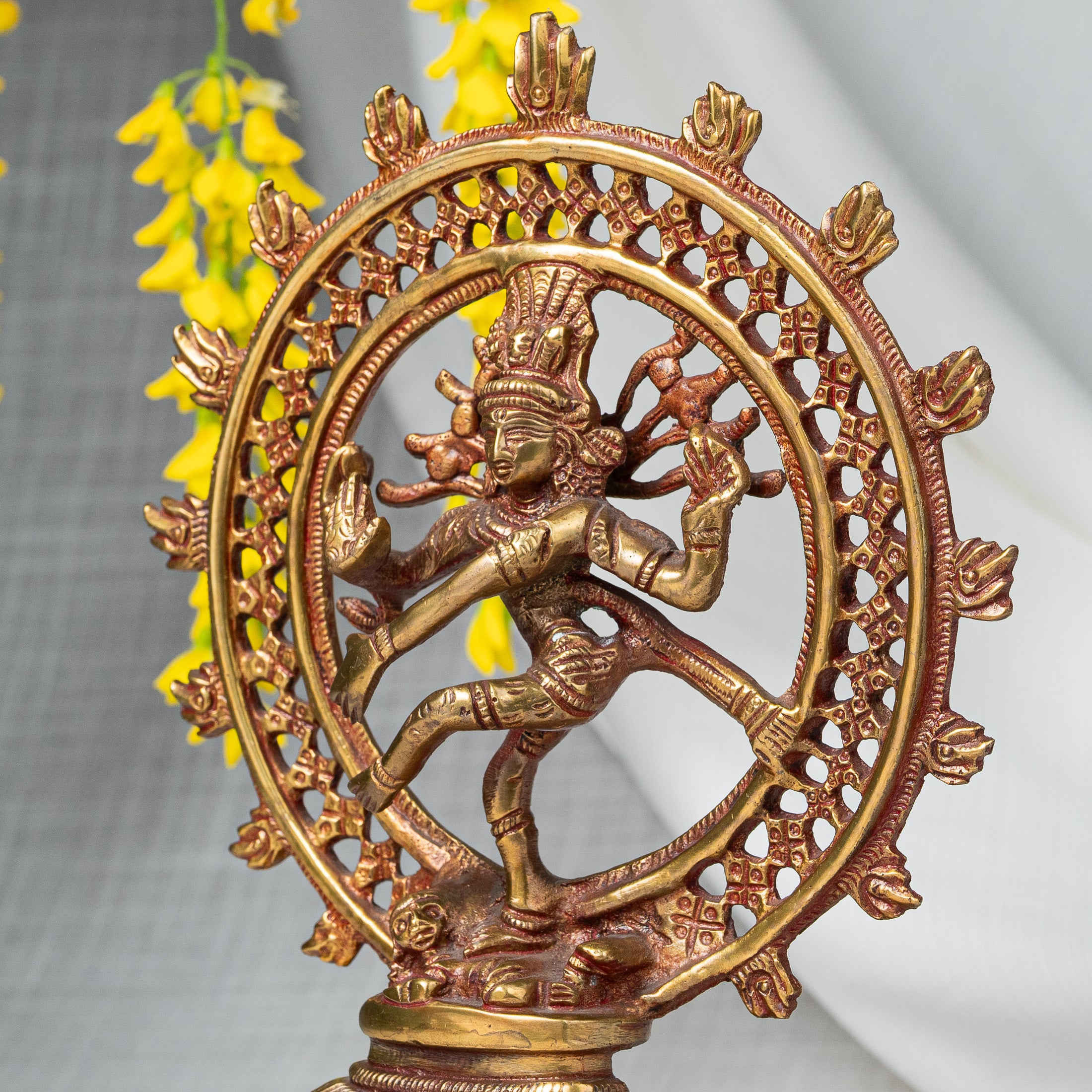 Close view of Nataraja Statue