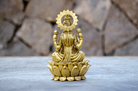 Lakshmi Figur 12 cm - Bagside