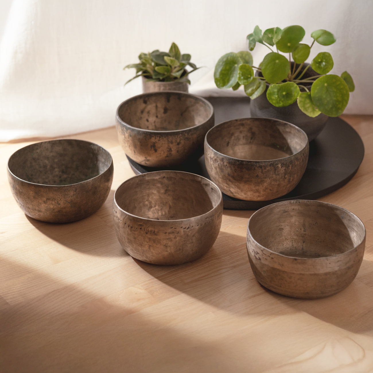 Set of five antique singing bowls on a wooden surface with plants in the background.
