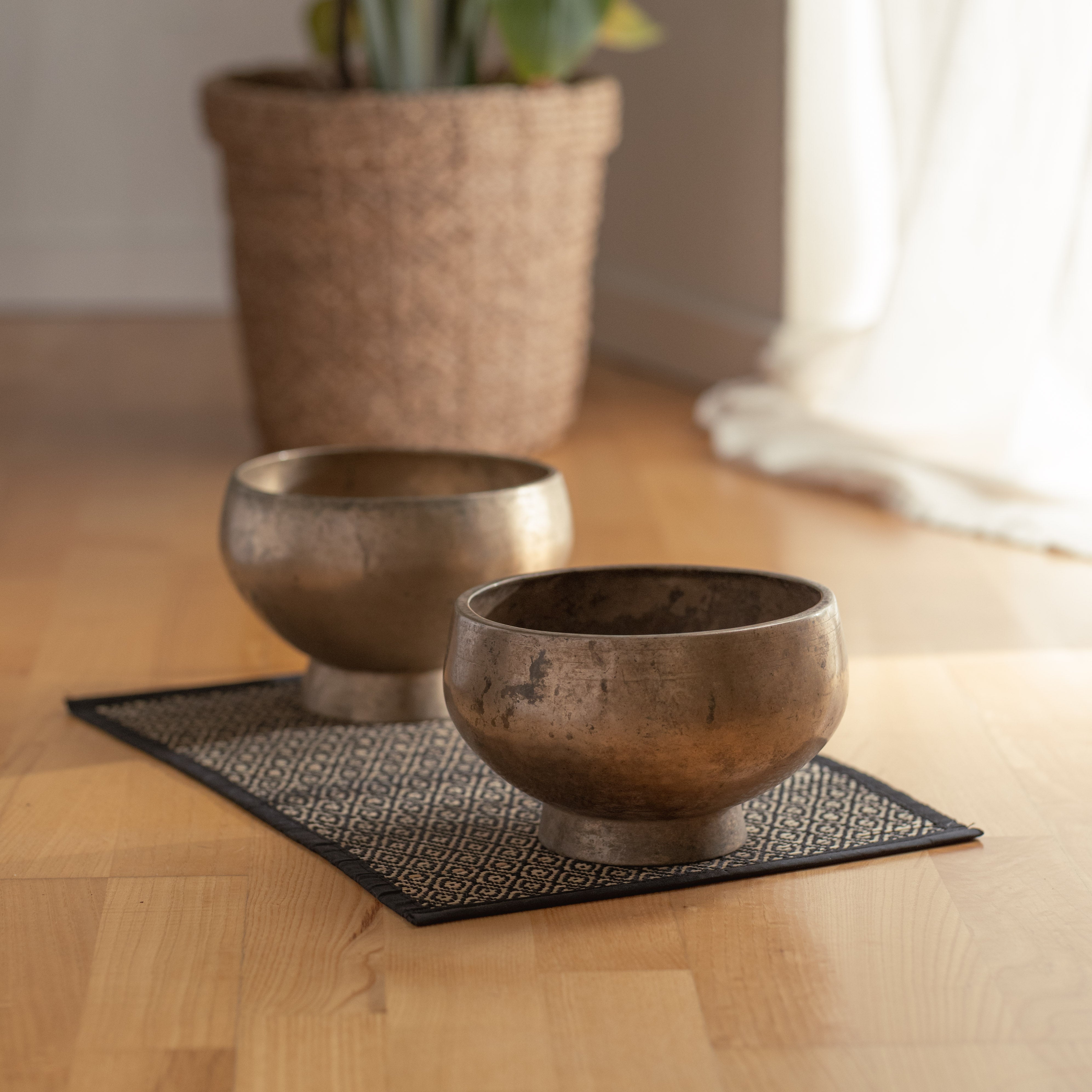 Two bronze antique singing bowls on a wooden surface with a plant in the background