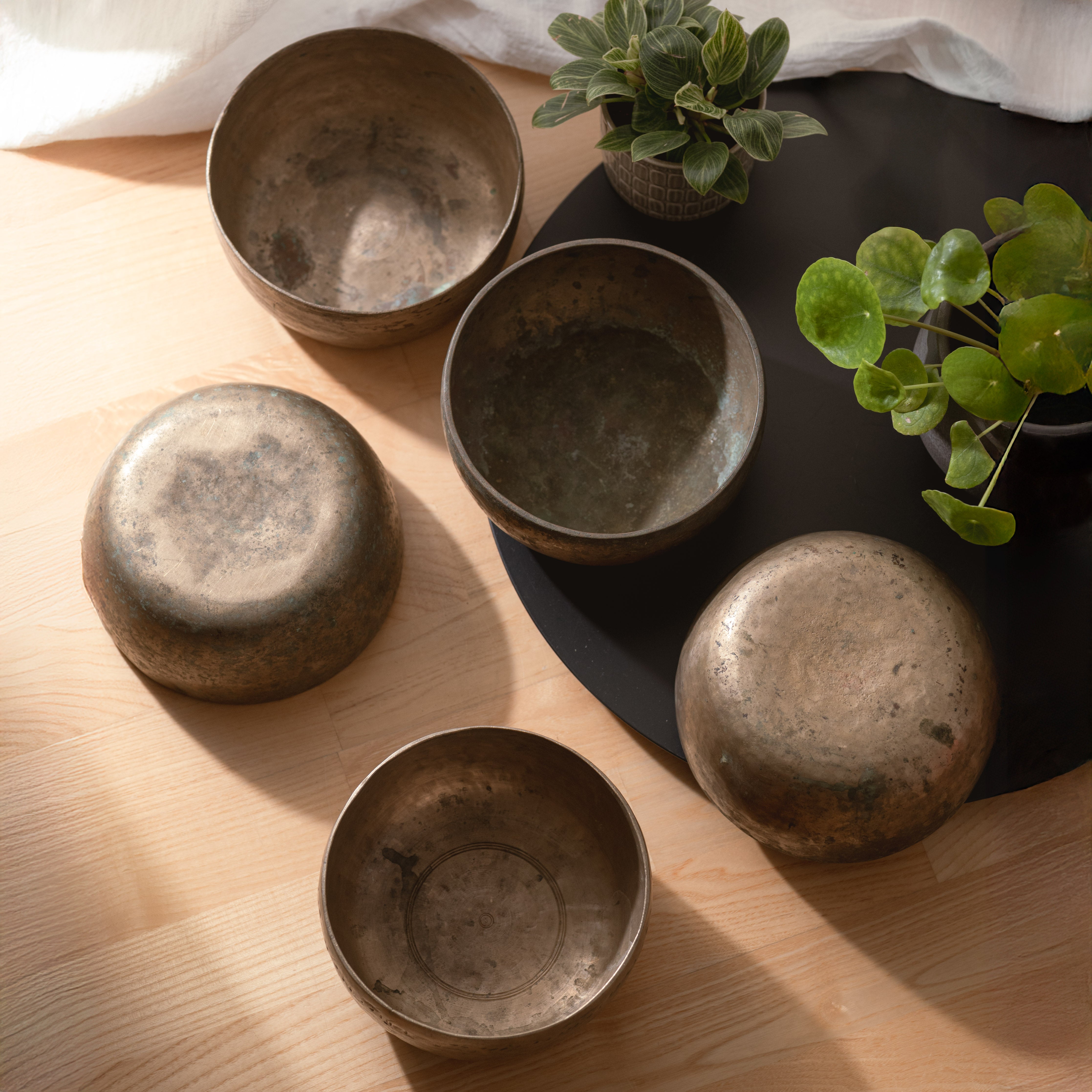 Set of five antique singing bowls on a wooden surface with plants in the background