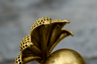 Lingam - Detail