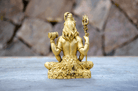 Shiva Figur - Bagside