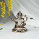 Bagfra af Ganeshfigur